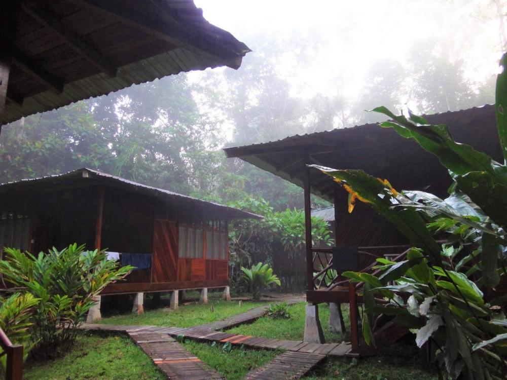 ICA Ecudor Field Station