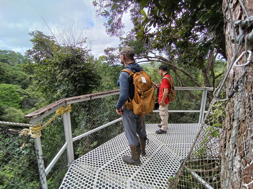 Guyana Canopy Guyana Canopy